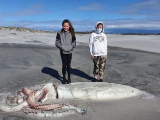 F768x1 579291 579418