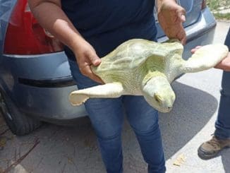 Preview 70608f1918640d16878c08deb4ef2be4f8d2c714