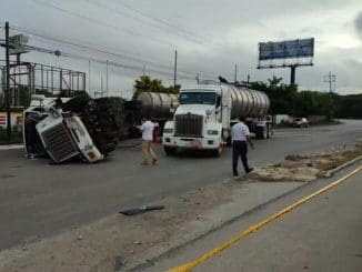 311344172 483736300465833 7111475989910061596 n