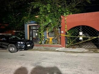 311638248 1550459902072031 8723185635001822904 n