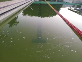 312579203 441618128122501 7653841117537342227 n