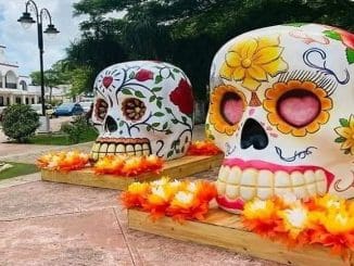 312622455 199042105847785 4913813520489286005 n