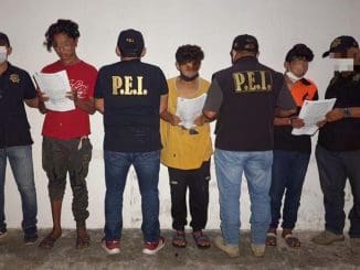 312631872 481790690648804 68806650682613586 n