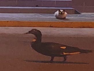 33179362 c595 48bb b778 808d6a608fa5