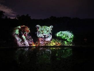 7119780d b3ee 4d27 a1b7 60c618daf6f0