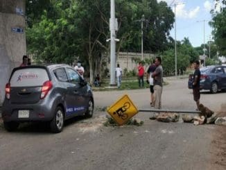 WhatsApp Image 2022 10 03 at 10.57.59 AM