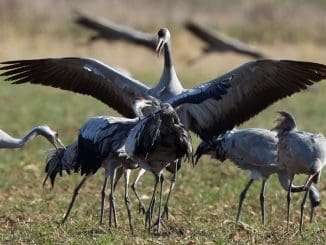 WhatsApp Image 2022 10 10 at 12.19.33 PM