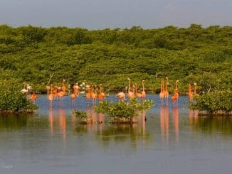 WhatsApp Image 2022 10 10 at 4.41.55 PM