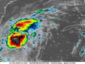 WhatsApp Image 2022 10 11 at 8.09.33 AM