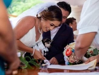 WhatsApp Image 2022 10 12 at 7.19.36 AM