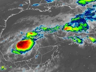 WhatsApp Image 2022 10 13 at 8.18.01 AM