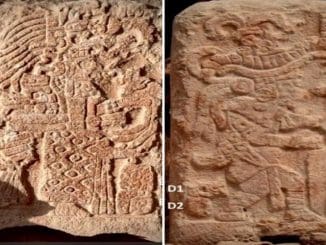 WhatsApp Image 2022 10 20 at 3.11.14 PM