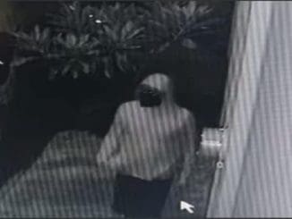 WhatsApp Image 2022 10 21 at 6.45.08 AM