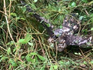 WhatsApp Image 2022 10 22 at 7.18.54 AM