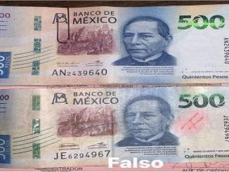 WhatsApp Image 2022 10 24 at 9.07.09 AM