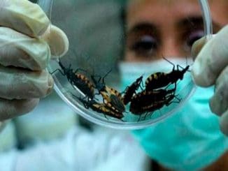 WhatsApp Image 2022 10 25 at 6.59.28 AM