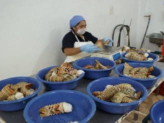 WhatsApp Image 2022 10 27 at 2.03.51 PM