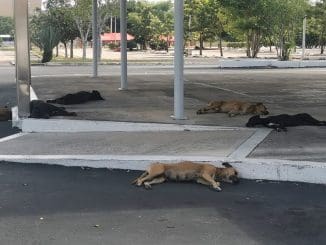 WhatsApp Image 2022 10 30 at 2.26.28 PM