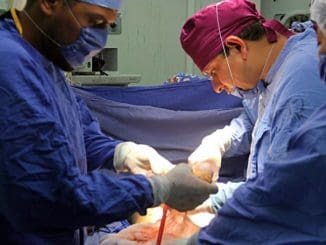 Donacion organos imss elsur 1 1132x670