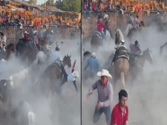 F800x450 608018 659464