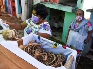 314045194 550458133752312 8671181915229220271 n