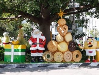 Decoracion navidena 2022 11 15 at 5.34.12 PM 2 scaled