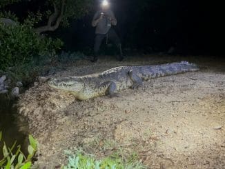 WhatsApp Image 2022 11 03 at 2.41.44 PM