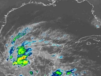 WhatsApp Image 2022 11 04 at 8.27.57 AM