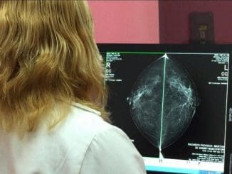 WhatsApp Image 2022 11 08 at 9.04.44 AM