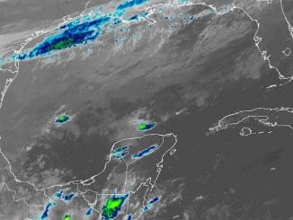 WhatsApp Image 2022 11 17 at 6.05.27 AM