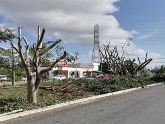 WhatsApp Image 2022 11 18 at 10.02.18 AM