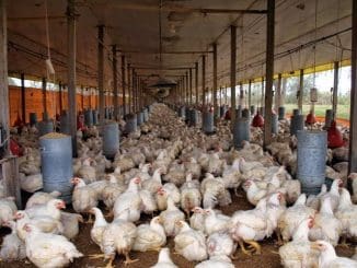 WhatsApp Image 2022 11 21 at 11.16.21 AM