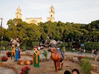 WhatsApp Image 2022 11 21 at 8.38.22 AM