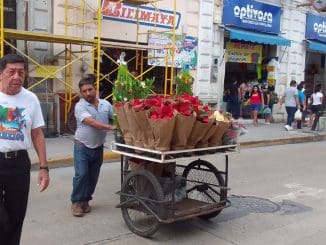 WhatsApp Image 2022 11 24 at 07.47.44