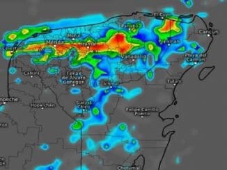 WhatsApp Image 2022 11 28 at 08.00.51