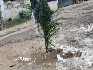 WhatsApp Image 2022 11 28 at 08.15.13