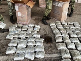 WhatsApp Image 2022 11 30 at 09.27.36