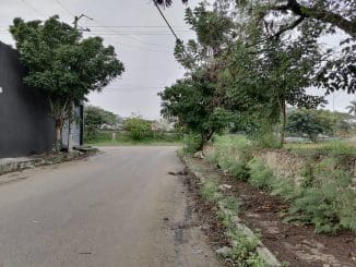 A68a331e 062f 4046 8210 bfee8cc26113