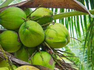 Db8bf4e77bf32740009c1b218c6860c7