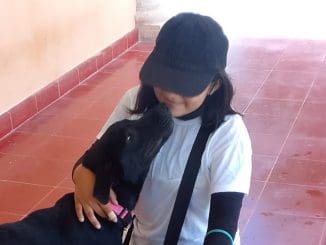 Fa27bccf d6b1 41d1 ad1d d1ed27125244