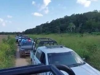 319334264 564932022309854 4439942992937144125 n