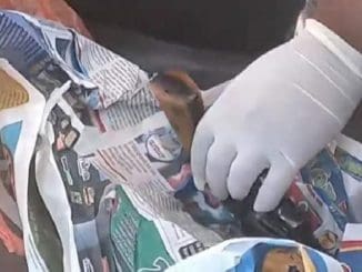 461e0910 afc6 4f6d 8638 5b6401f3885d