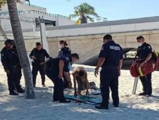 47a807af 24cc 4112 9d39 ecebc021c3d9