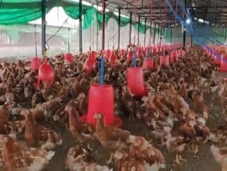 D NQ NP 2X 944347 MLM44284391268 122020 F