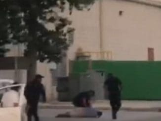 ROBERTO LANZ1 scaled