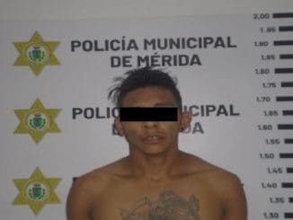 WhatsApp Image 2022 12 02 at 18.41.48