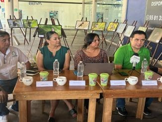 WhatsApp Image 2022 12 06 at 15.46.37