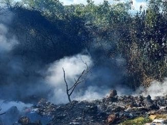 WhatsApp Image 2022 12 10 at 09.13.58