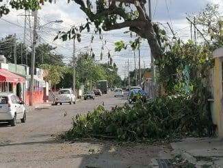 WhatsApp Image 2022 12 22 at 09.38.51