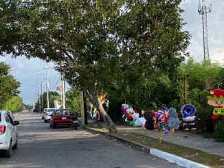 WhatsApp Image 2022 12 23 at 09.55.46